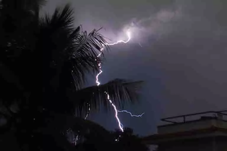 Maharashtra: पालघर में बिजली गिरने से छह लोग घायल, कई घर क्षतिग्रस्त Maharashtra: पालघर में बिजली गिरने से छह लोग घायल, कई घर क्षतिग्रस्त