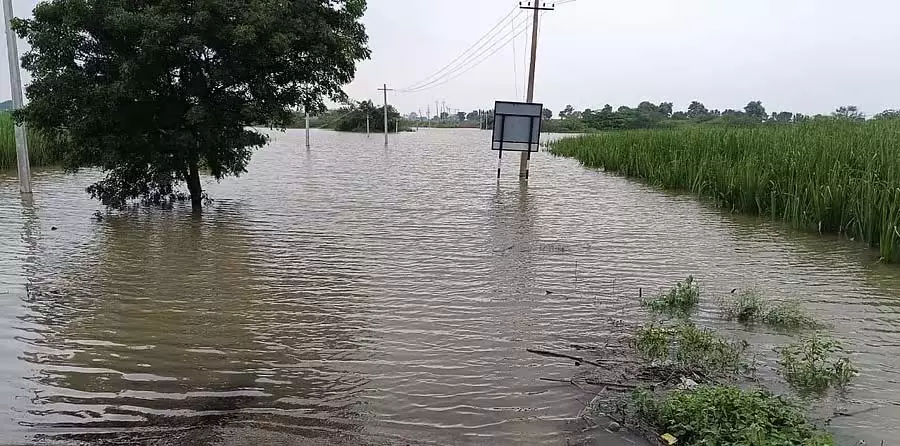 मांजरा नदी में बाढ़: किसान चिंतित मांजरा नदी में बाढ़: किसान चिंतित