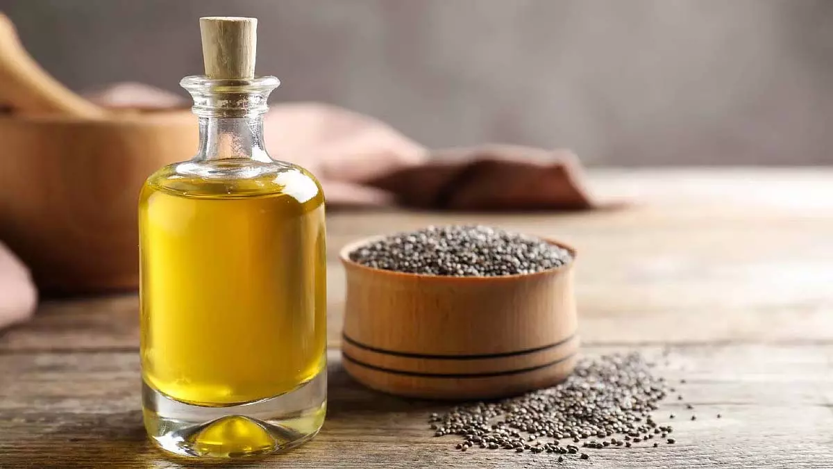 बालों के लिए चिया सीड ऑयल: खाने के अलावा भी कई फायदे बालों के लिए चिया सीड ऑयल: खाने के अलावा भी कई फायदे