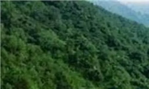 Kangra: पत्थरों की बरसात से दहशत, लोगों को मिल रहे डरावने संदेश Kangra: पत्थरों की बरसात से दहशत, लोगों को मिल रहे डरावने संदेश