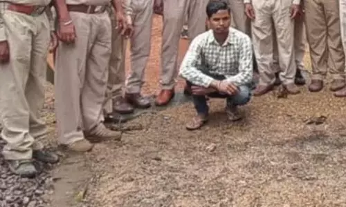कारपेंटर के घर वन विभाग ने मारी रेड, 2 लाख की महंगी लकड़ी जब्त