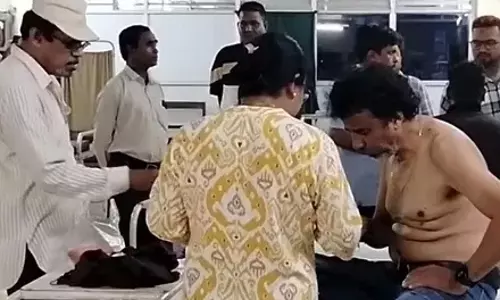 मधुमक्खियों के हमले से माइंस में मचा हड़कंप, कई कर्मचारी घायल