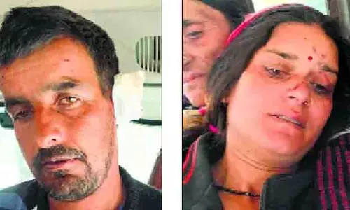 Chamba में भालू के हमले में तीन ग्रामीण घायल, मवेशी मरे