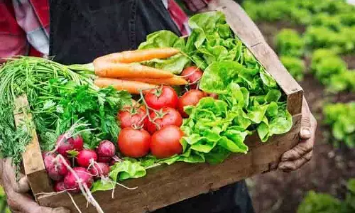 Himachal: जरालू सब्जी मंडी को भूमि अधिग्रहण की मंजूरी से बढ़ावा मिला Himachal: जरालू सब्जी मंडी को भूमि अधिग्रहण की मंजूरी से बढ़ावा मिला