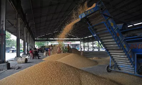 CM  सैनी ने किसानों की समस्याओं के समाधान के लिए प्रत्येक जिले में वरिष्ठ अधिकारियों की घोषणा की