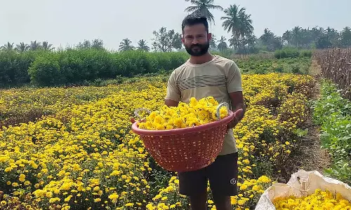 फूलों की खेती; लिंगदहल्ली का एक सफल किसान फूलों की खेती; लिंगदहल्ली का एक सफल किसान