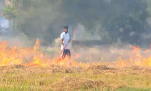 पराली प्रबंधन के लिए वैज्ञानिक तरीके अपनाएं: Administration पराली प्रबंधन के लिए वैज्ञानिक तरीके अपनाएं: Administration