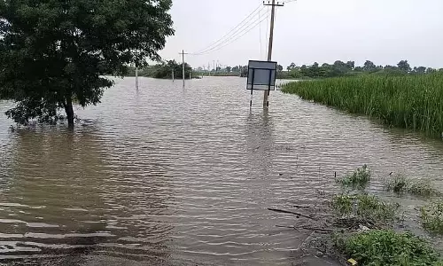 मांजरा नदी में बाढ़: किसान चिंतित