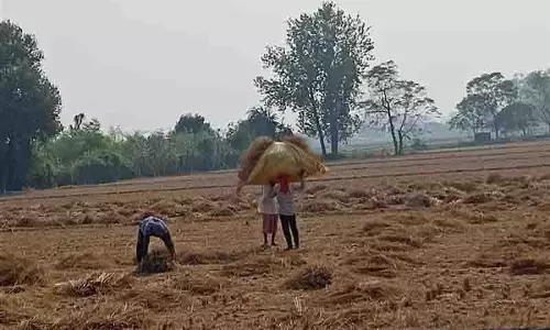 Amritsar: पराली प्रबंधन के लिए मंडियों में किसान सहायता केंद्र स्थापित Amritsar: पराली प्रबंधन के लिए मंडियों में किसान सहायता केंद्र स्थापित