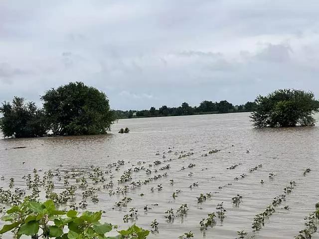 1 अक्टूबर से भारी बारिश की आशंका : सरकार एहतियाती कदम तेज़ करेगी 1 अक्टूबर से भारी बारिश की आशंका : सरकार एहतियाती कदम तेज़ करेगी
