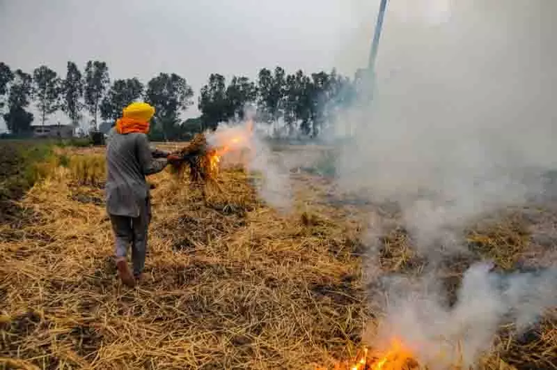 PPCB ने खेतों में आग से निपटने के लिए 10,000 से अधिक फील्ड स्टाफ तैनात किए PPCB ने खेतों में आग से निपटने के लिए 10,000 से अधिक फील्ड स्टाफ तैनात किए