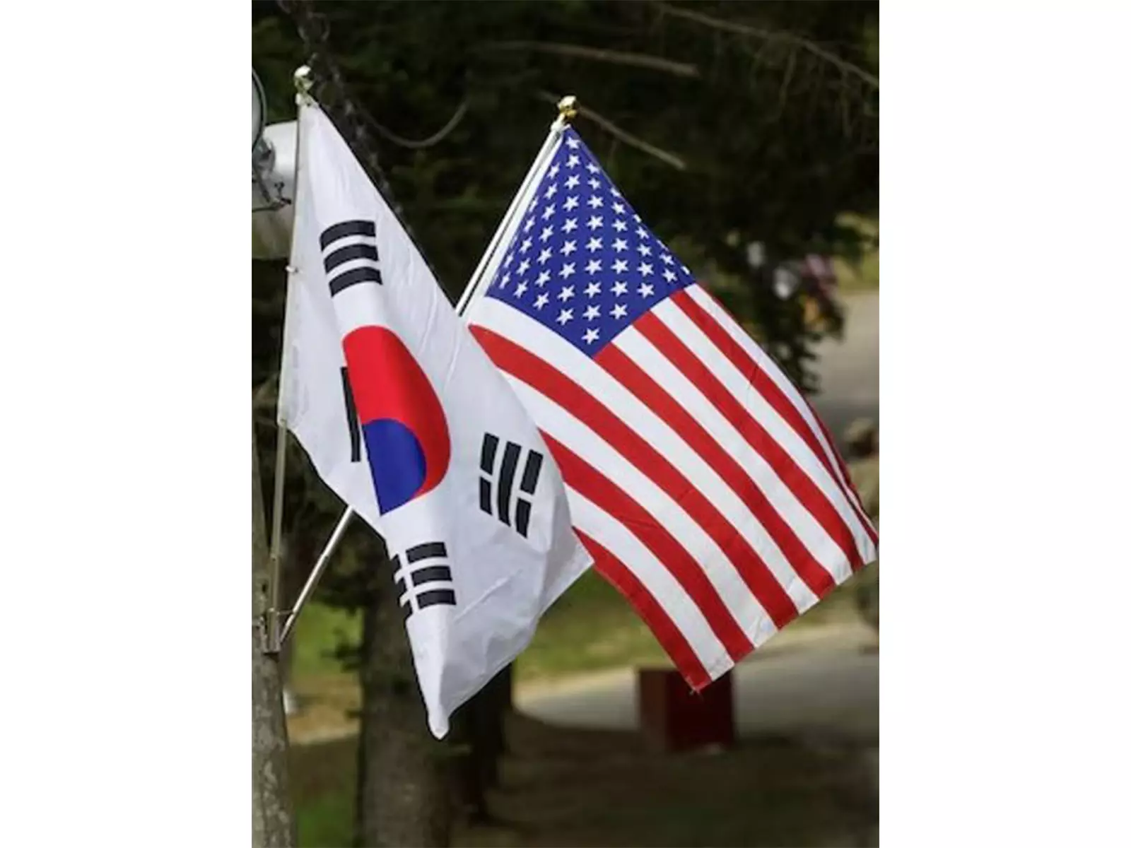 South Korea और अमेरिका वीज़ा सुधार के लिए संयुक्त कार्य समूह बनाने की तैयारी में South Korea और अमेरिका वीज़ा सुधार के लिए संयुक्त कार्य समूह बनाने की तैयारी में