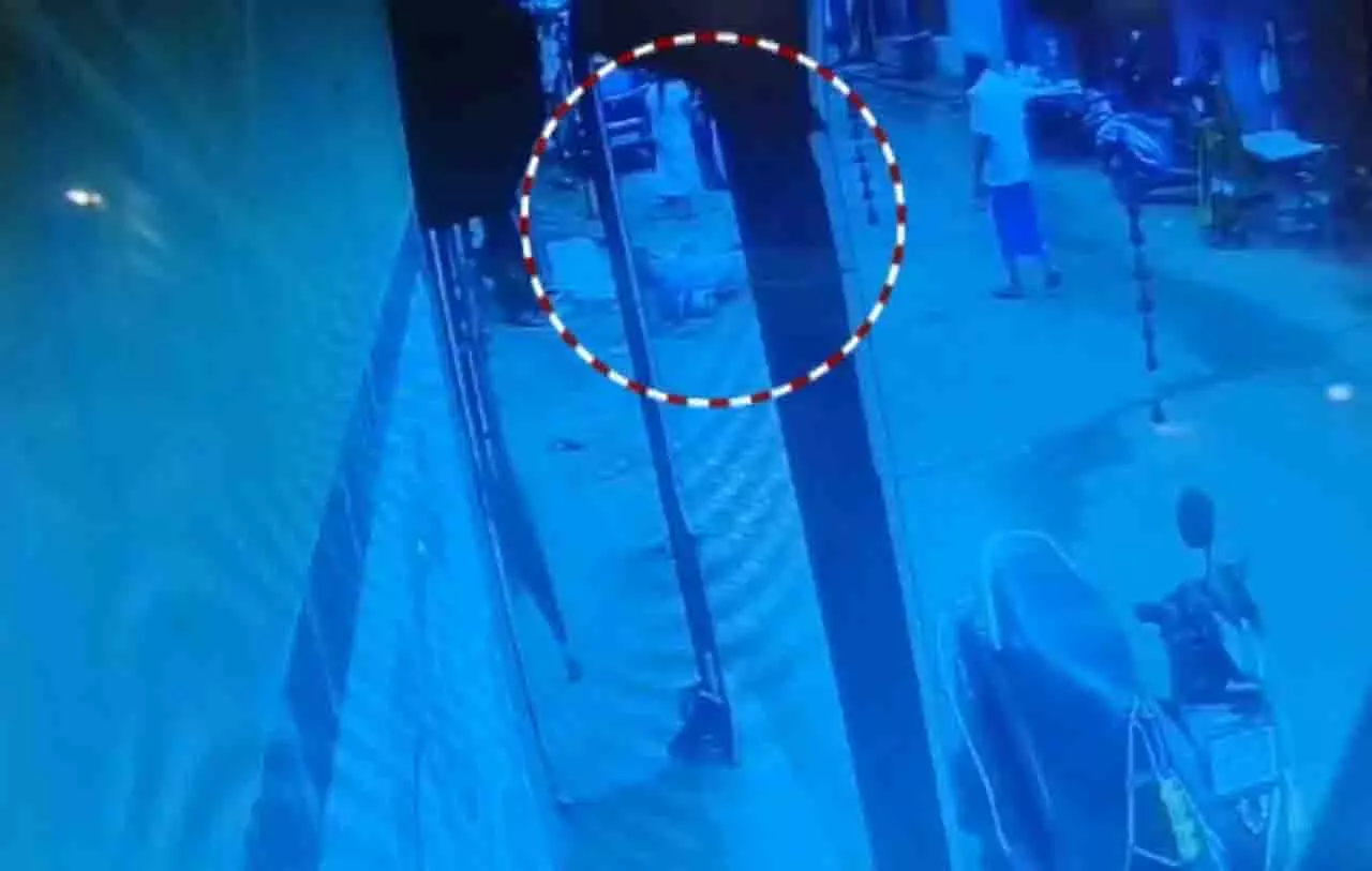 Bhubaneswar: फूल तोड़ने पर महिला पर बेरहमी से हमला Bhubaneswar: फूल तोड़ने पर महिला पर बेरहमी से हमला