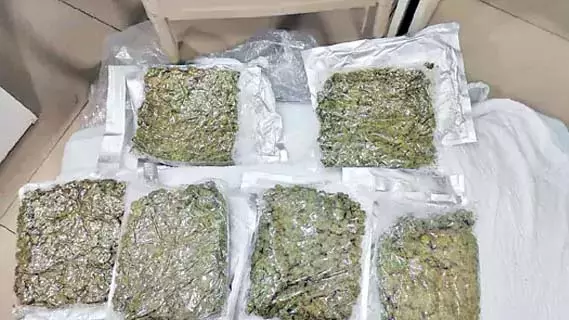 Andhra : काकीनाडा में 384 किलोग्राम मारिजुआना जब्त तीन गिरफ्तार Andhra : काकीनाडा में 384 किलोग्राम मारिजुआना जब्त तीन गिरफ्तार