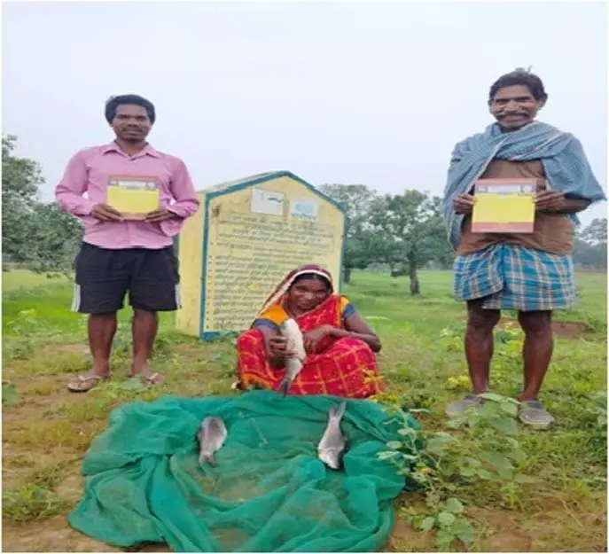 किशोरी अमृत सरोवर बना खुशहाली का स्रोत किशोरी अमृत सरोवर बना खुशहाली का स्रोत