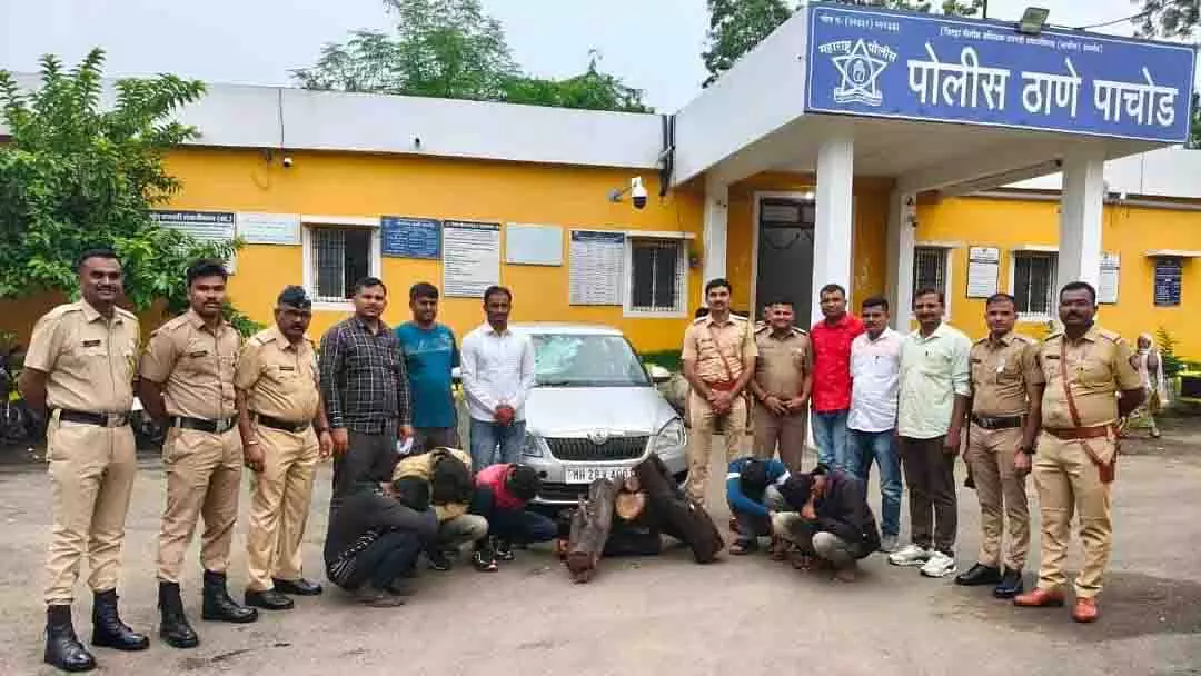 Sambhajinagar पुलिस की बड़ी कार्रवाई, चंदन तस्करों का गिरोह पकड़ा गया Sambhajinagar पुलिस की बड़ी कार्रवाई, चंदन तस्करों का गिरोह पकड़ा गया