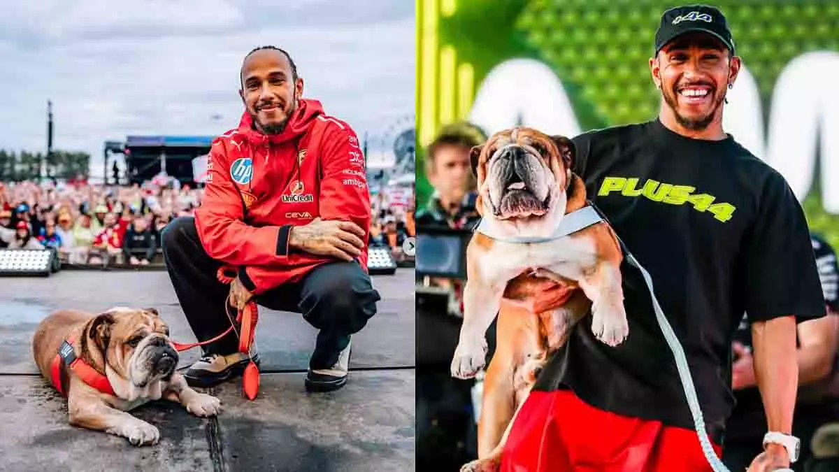 Lewis Hamilton ने अपने डॉगी रोस्को को दी भावुक श्रद्धांजलि Lewis Hamilton ने अपने डॉगी रोस्को को दी भावुक श्रद्धांजलि