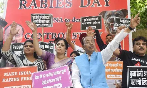 रेबीज दिवस पर पूर्व मंत्री का प्रदर्शन, आवारा कुत्तों पर नीति की मांग