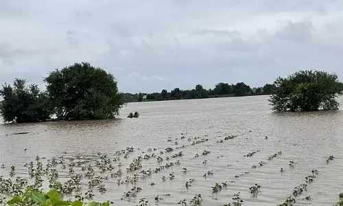 1 अक्टूबर से भारी बारिश की आशंका :  सरकार एहतियाती कदम तेज़ करेगी