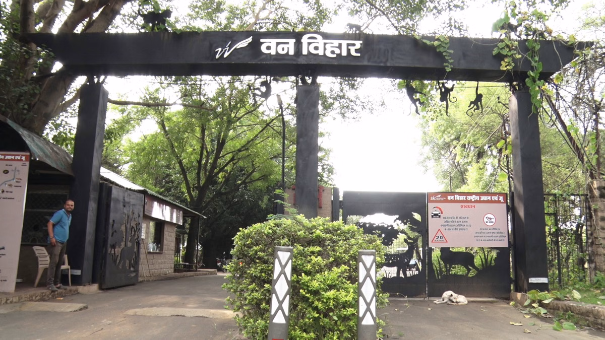 Bhopal: वन विहार में अब केवल पैदल या ई-वाहनों की अनुमति Bhopal: वन विहार में अब केवल पैदल या ई-वाहनों की अनुमति
