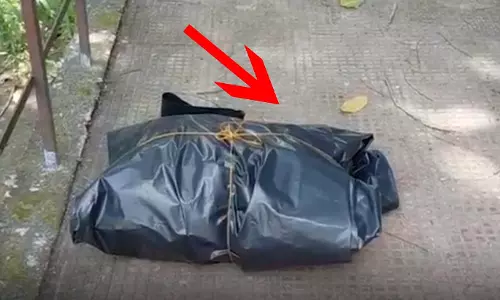 पहाड़ी पर मानव का नर कंकाल मिला, मंजर देखकर चरवाह डरे पहाड़ी पर मानव का नर कंकाल मिला, मंजर देखकर चरवाह डरे