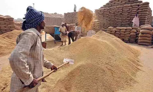 Bathinda और मानसा डिपो में अनियमितताओं के आरोप में पनसप के पांच अधिकारी निलंबित