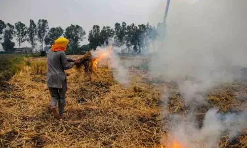 PPCB ने खेतों में आग से निपटने के लिए 10,000 से अधिक फील्ड स्टाफ तैनात किए