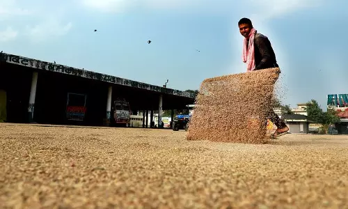 Haryana : आढ़तियों की हड़ताल से शाहाबाद मंडी में खरीद ठप, बातचीत के बाद विवाद सुलझा