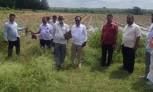Almatti : 1.20 लाख क्यूसेक पानी का बहाव