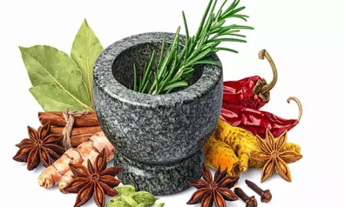 पेट के लिए ही नहीं, इम्यूनिटी बूस्टर भी है पंचकोल, आयुर्वेद में लिखे हैं अनगिनत फायदे पेट के लिए ही नहीं, इम्यूनिटी बूस्टर भी है पंचकोल, आयुर्वेद में लिखे हैं अनगिनत फायदे