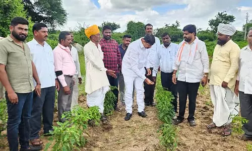 बारिश से फसलें बर्बाद; मकान गिरने से तीन घायल