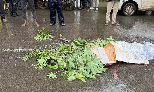 वाघोली में डंपर ने दोपहिया वाहन को टक्कर मारी, महिला की मौत; 15 दिनों में दूसरा जानलेवा हादसा वाघोली में डंपर ने दोपहिया वाहन को टक्कर मारी, महिला की मौत; 15 दिनों में दूसरा जानलेवा हादसा