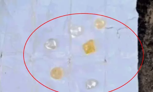 हीरे की तस्करी पकड़ी गई, गरियाबंद में तीन गिरफ्तार