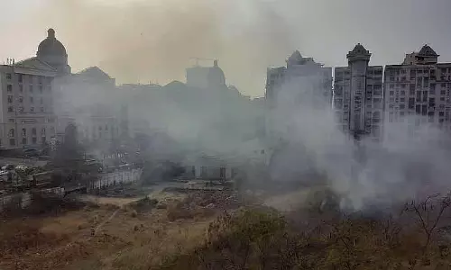 CPCB ने पुणे में बढ़ते ओजोन प्रदूषण की चिंता एनजीटी को बताई CPCB ने पुणे में बढ़ते ओजोन प्रदूषण की चिंता एनजीटी को बताई
