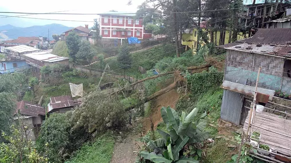 Nagaland :  मोकोकचुंग में तूफान से पेड़ उखड़ गए, बिजली आपूर्ति बाधित