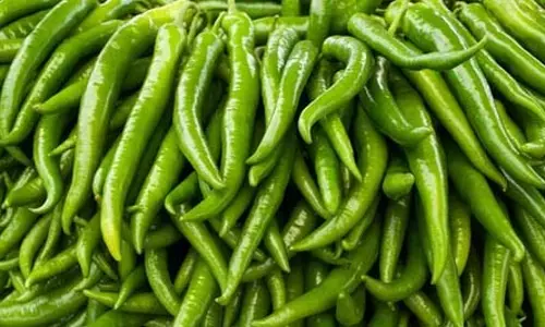 हरी मिर्च एक सुपरफूड क्यों है: इसके शीर्ष स्वास्थ्य लाभ