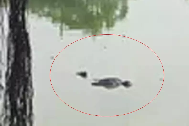 सड्डू में अज्ञात लाश मिली, तालाब से पुलिस ने निकाला सड्डू में अज्ञात लाश मिली, तालाब से पुलिस ने निकाला