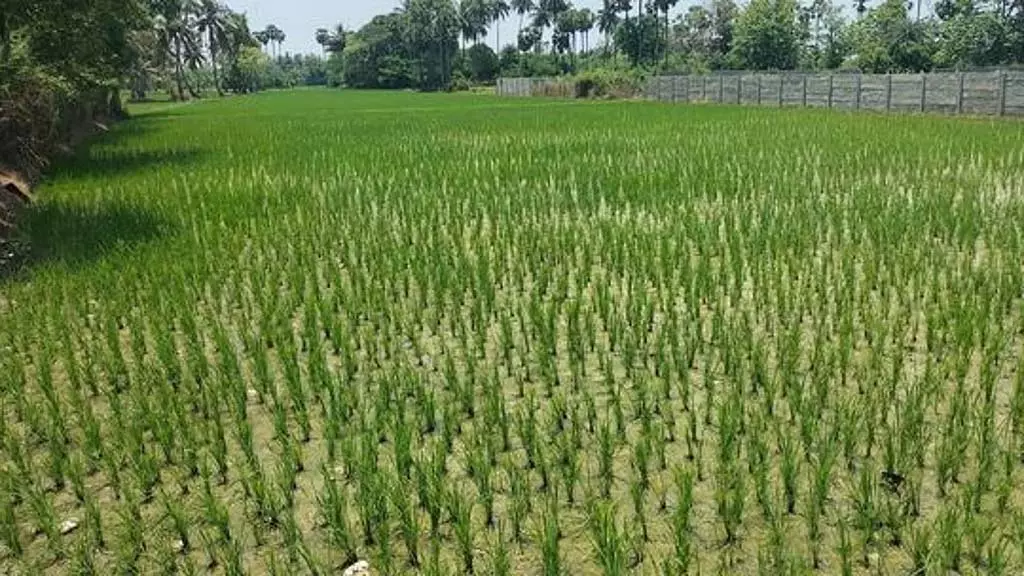सहकारी क्षेत्र के माध्यम से 1,777 करोड़ का फसल ऋण उपलब्ध कराने का लक्ष्य सहकारी क्षेत्र के माध्यम से 1,777 करोड़ का फसल ऋण उपलब्ध कराने का लक्ष्य