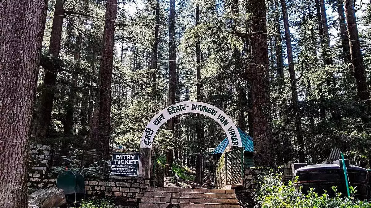 वन विहार में 1 अक्टूबर से पेट्रोल और डीजल वाहनों पर प्रतिबंध; 60 रुपये में गोल्फ कार्ट की सवारी शुरू वन विहार में 1 अक्टूबर से पेट्रोल और डीजल वाहनों पर प्रतिबंध; 60 रुपये में गोल्फ कार्ट की सवारी शुरू