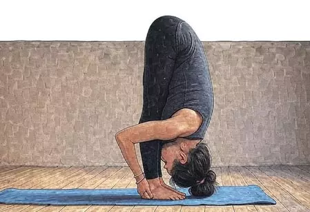 भागदौड़ भरी जिंदगी में तनाव से पाएं राहत, शरीर को लचीला बनाने के लिए करें ये 3 योगासन भागदौड़ भरी जिंदगी में तनाव से पाएं राहत, शरीर को लचीला बनाने के लिए करें ये 3 योगासन