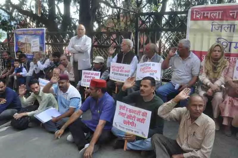 Shimla में भय का माहौल, निवासियों ने आवारा कुत्तों और बंदरों से निपटने के लिए ठोस नीति की मांग की Shimla में भय का माहौल, निवासियों ने आवारा कुत्तों और बंदरों से निपटने के लिए ठोस नीति की मांग की