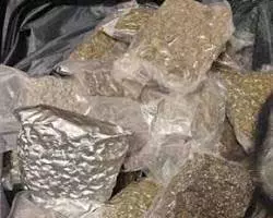 खूंटी में 1.40 करोड़ का नशीला पदार्थ जब्त, एक गिरफ्तार खूंटी में 1.40 करोड़ का नशीला पदार्थ जब्त, एक गिरफ्तार
