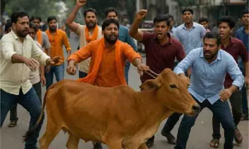Bhopal: गाय को लेकर हुए विवाद में पथराव Bhopal: गाय को लेकर हुए विवाद में पथराव