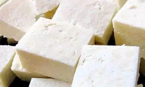 Rajasthan: त्योहारी सीजन में 1000 किलो नकली पनीर जब्त Rajasthan: त्योहारी सीजन में 1000 किलो नकली पनीर जब्त