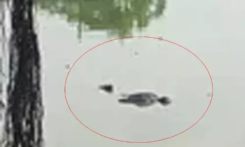 सड्डू में अज्ञात लाश मिली, तालाब से पुलिस ने निकाला