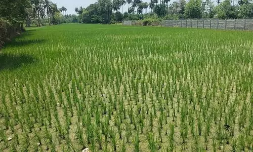 सहकारी क्षेत्र के माध्यम से 1,777 करोड़ का फसल ऋण उपलब्ध कराने का लक्ष्य