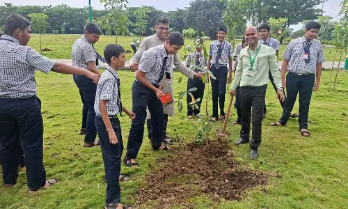 सिविक बॉडी ने एक पेड़ मां के नाम अभियान के तहत कोपरखैरणे नेचर पार्क में 500 देशी पौधे लगाए सिविक बॉडी ने एक पेड़ मां के नाम अभियान के तहत कोपरखैरणे नेचर पार्क में 500 देशी पौधे लगाए