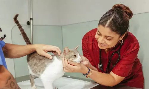 Maharashtra : सरकार सभी 29 नगर निगमों में पशु चिकित्सा अस्पताल बनाने की योजना बना रही है Maharashtra : सरकार सभी 29 नगर निगमों में पशु चिकित्सा अस्पताल बनाने की योजना बना रही है