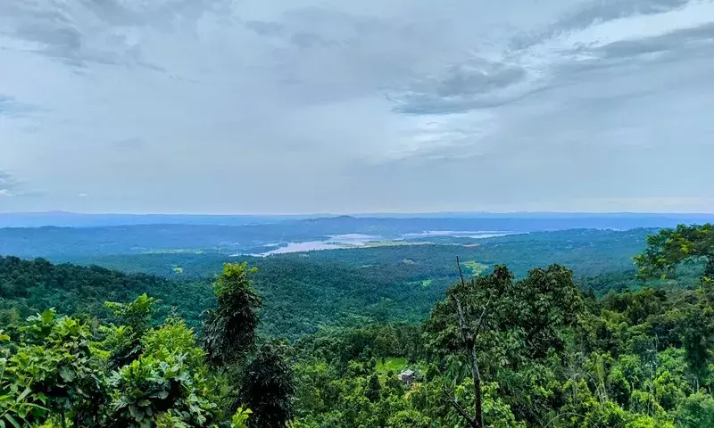 Manipur:  लघु फिल्म प्रतियोगिता में ग्रीन लाइट को शीर्ष स्थान मिला