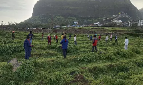 Nashik : जय हिंद लोक आंदोलन के तहत सप्तश्रृंगी किले में 55,000 स्वदेशी पेड़ लगाए गए Nashik : जय हिंद लोक आंदोलन के तहत सप्तश्रृंगी किले में 55,000 स्वदेशी पेड़ लगाए गए
